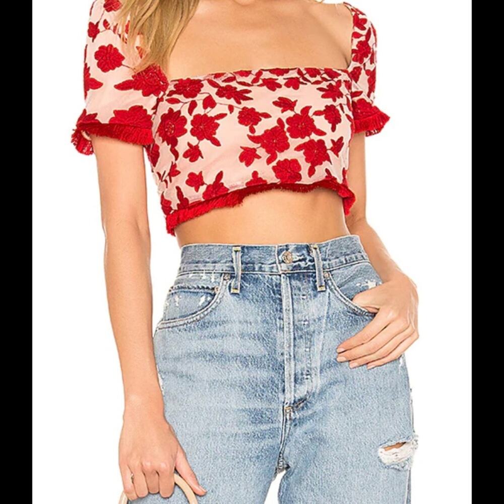 Lovers + Friends Red Kehlani Embroidered Mesh Cropped Top Large
